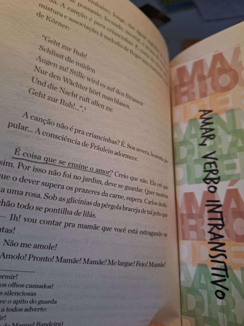 Imagem mostrando parte do livro Amar, Verbo Intransitivo aberto.  A maior parte da imagem mostra uma página à esquerda e com destaque de uma frase marcada a lápis: "É coisa que se ensine o amor?".